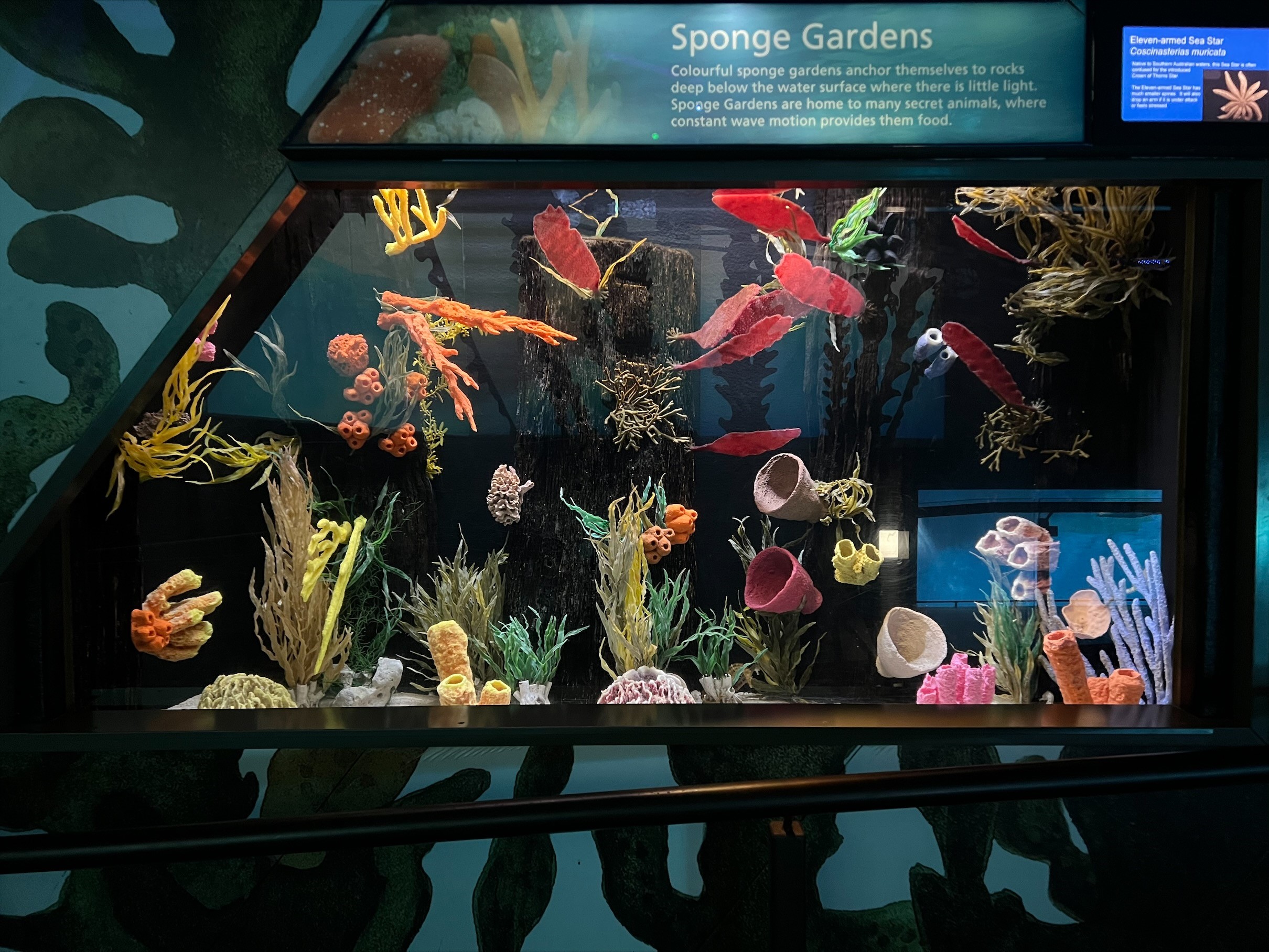 /uploaded_files/media/gallery/1659494485zoo 21.jpg